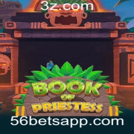 56 bet Casino App
